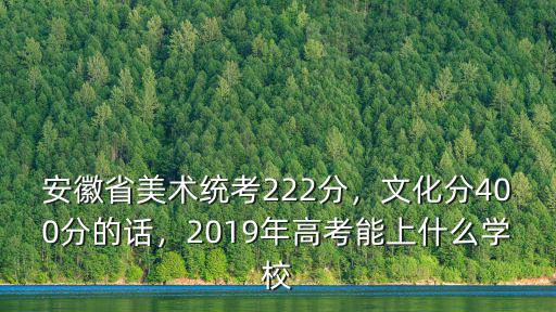 安徽省美術統考222分，文化分400分的話，2019年高考能上什么學校