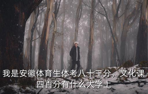 體育生考深圳大學(xué)要多少分安徽,我是安徽體育生體考八十三分