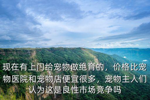 綿陽哪里做寵物絕育手術便宜,寵物狗該不該做絕育手術