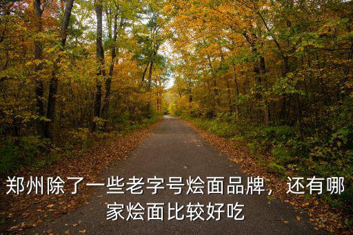 鄭州除了一些老字號(hào)燴面品牌，還有哪家燴面比較好吃