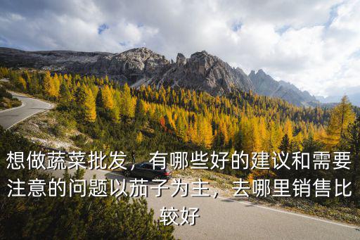 周口蔬菜批發哪里好,想做蔬菜批發