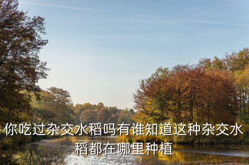 你吃過雜交水稻嗎有誰知道這種雜交水稻都在哪里種植