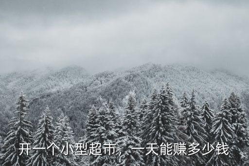 合肥小區(qū)門口超市能賺多少錢,一天能賺多少錢