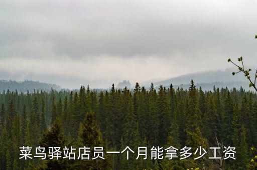菜鳥驛站店員一個月能拿多少工資