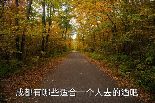 成都有哪些適合一個人去的酒吧