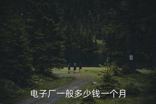 銅陵電子廠工資一般是多少錢一個月,電子廠一般多少錢一個月