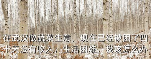 武漢拿山東蔬菜超市賣現在怎么解決,蔬菜賣不出去怎么處理