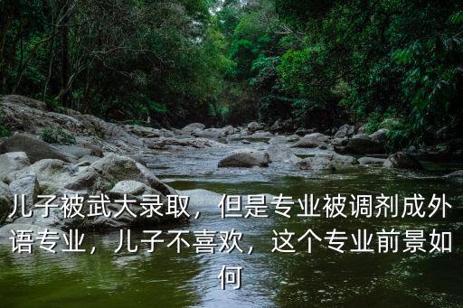 兒子被武大錄取，但是專業被調劑成外語專業，兒子不喜歡，這個專業前景如何