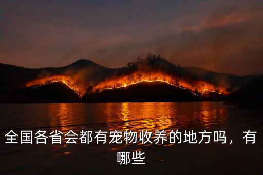 全國各省會都有寵物收養的地方嗎，有哪些