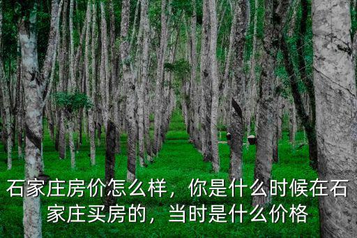 石家莊房價怎么樣，你是什么時候在石家莊買房的，當時是什么價格