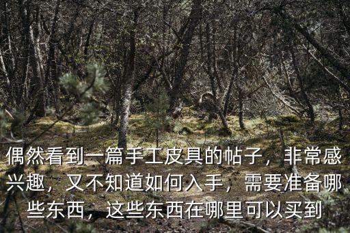 鄭州哪里有賣手工皮具的,偶然看到一篇手工皮具的帖子