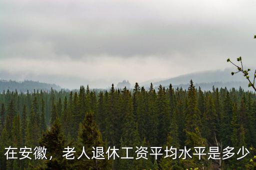 在安徽，老人退休工資平均水平是多少