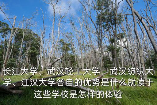 長江大學、武漢輕工大學、武漢紡織大學、江漢大學各自的優(yōu)勢是什么就讀于這些學校是怎樣的體驗
