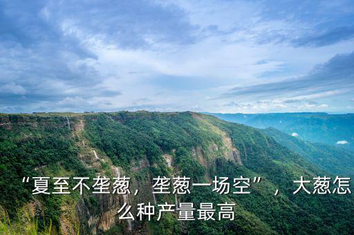 河南哪里種大蔥最多,想在河南種植大蔥
