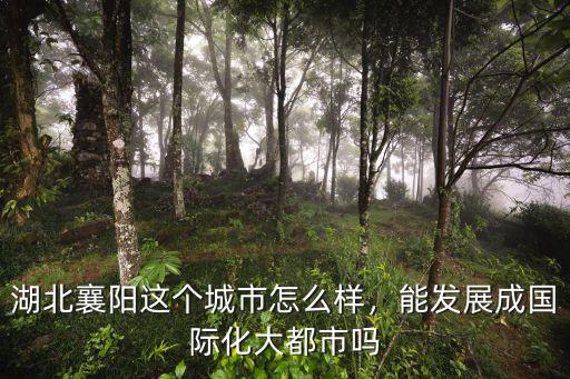 河北襄陽發展怎么樣,湖北襄陽的發展怎么樣