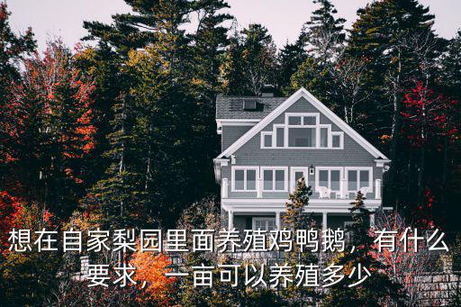想在自家梨園里面養殖雞鴨鵝，有什么要求，一畝可以養殖多少
