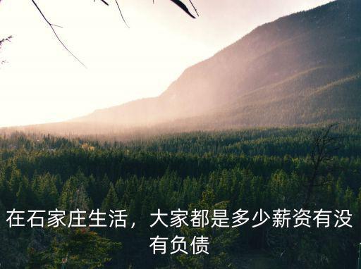 在石家莊生活，大家都是多少薪資有沒有負債