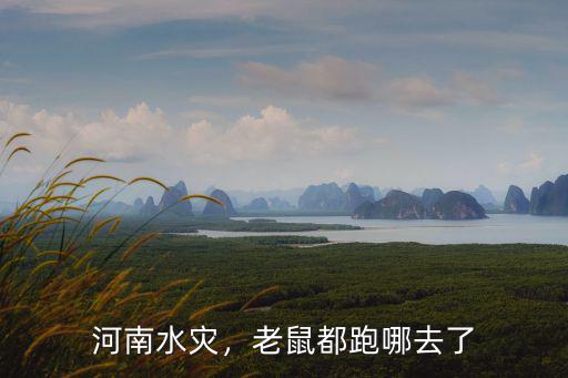 鄭州的水排哪里去了,水都去了哪里