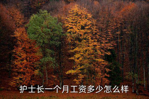 護士長一個月工資多少怎么樣