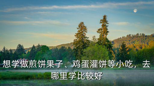 想學做煎餅果子、雞蛋灌餅等小吃，去哪里學比較好