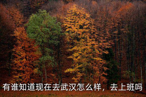 有誰知道現(xiàn)在去武漢怎么樣，去上班嗎