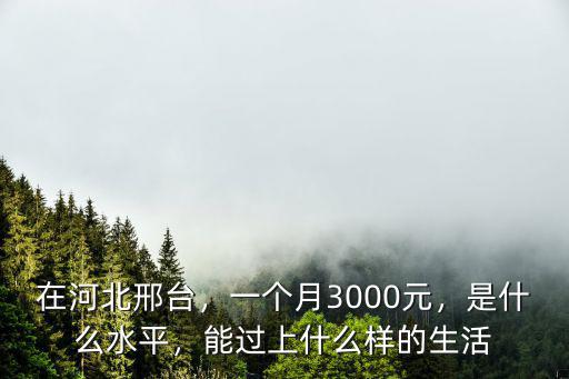 邢臺中學有多少錢一個月,邢臺幼師編制一個月多少錢