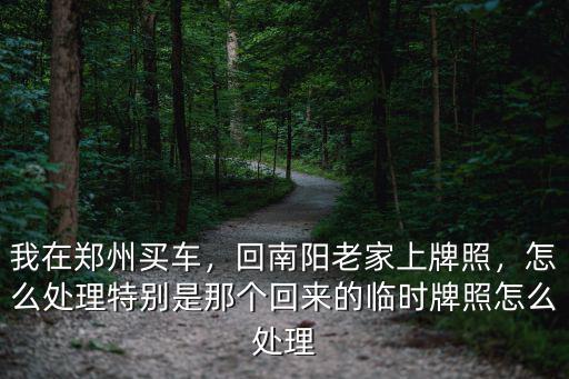 我在鄭州買車，回南陽老家上牌照，怎么處理特別是那個回來的臨時牌照怎么處理