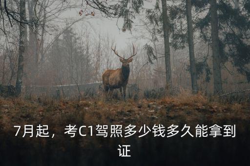7月起，考C1駕照多少錢多久能拿到證