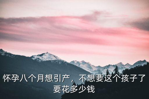 承德引產(chǎn)要多少錢,不想要這個(gè)孩子了要花多少錢