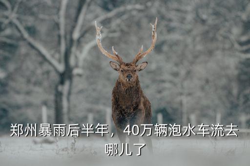 鄭州暴雨后半年，40萬輛泡水車流去哪兒了