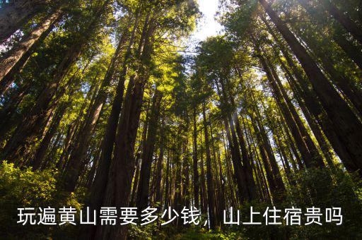 只爬黃山需要多少錢,玩遍黃山需要多少錢