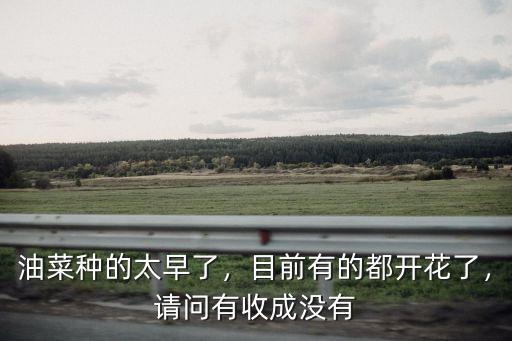 油菜種的太早了，目前有的都開花了，請問有收成沒有