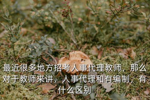 武漢人事代理教師怎么樣,人事代理和有編制