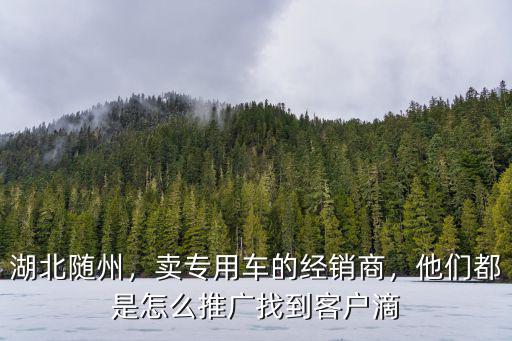 隨州經銷商怎么找客戶,他們都是怎么推廣找到客戶滴