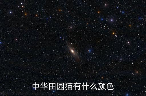 成都哪里有中華田園貓,中華田園貓有什么顏色