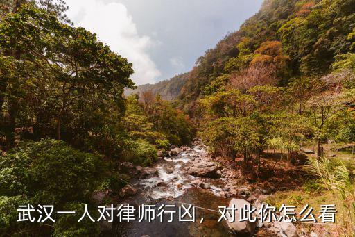 武漢槍擊案嫌疑人會怎么判,武漢槍擊案雷某會被判死刑嗎
