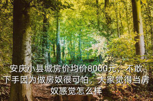 安慶小縣城房價均價8000元，不敢下手因為做房奴很可怕，大家覺得當房奴感覺怎么樣