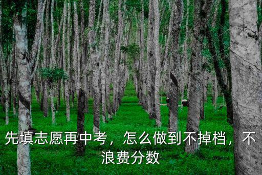 武漢中考怎么填志愿才不掉檔,先填志愿再中考