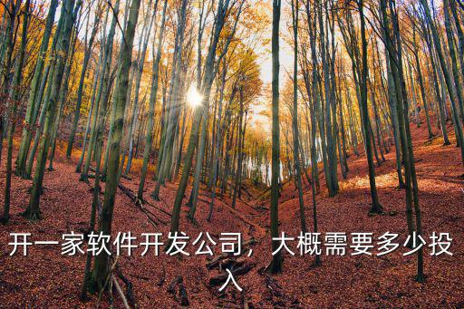 開一家軟件開發公司，大概需要多少投入