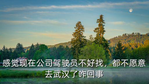 現(xiàn)在車不通怎么去武漢,怎么返回武漢合適