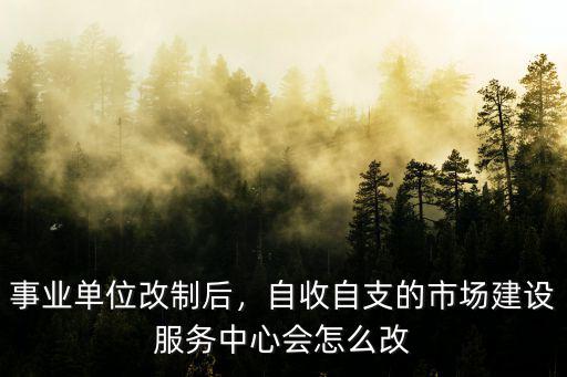 信陽市市場發展服務中心怎么改革,這次市場發展中心將如何改革