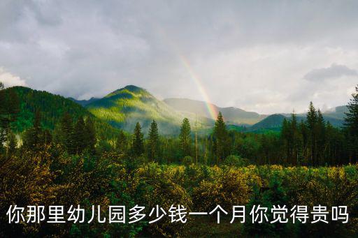 張家口紅黃藍幼兒園一學期多少錢,你那里幼兒園多少錢一個月