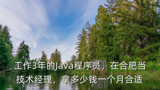 合肥java開發(fā)工資多少,這個(gè)工資怎么樣