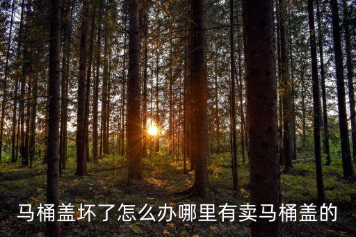 馬桶蓋壞了怎么辦哪里有賣馬桶蓋的