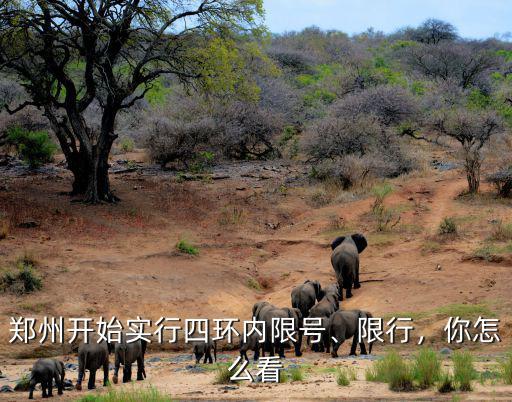 鄭州限行放四環哪里,鄭州單雙號限行到四環