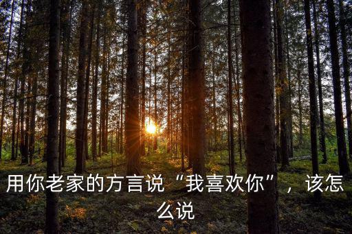 河南話說老子喜歡你怎么說,用你老家的方言說我喜歡你