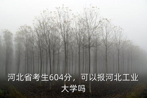 河北省考生604分，可以報河北工業(yè)大學(xué)嗎