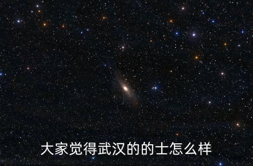 大家覺得武漢的的士怎么樣