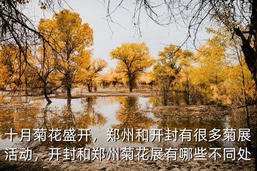 開封菊展晚會在哪里,開封菊花展你覺得亮點在哪里