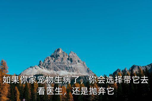 成都寵物生病了去哪里看,寵物生病了去哪里看好些